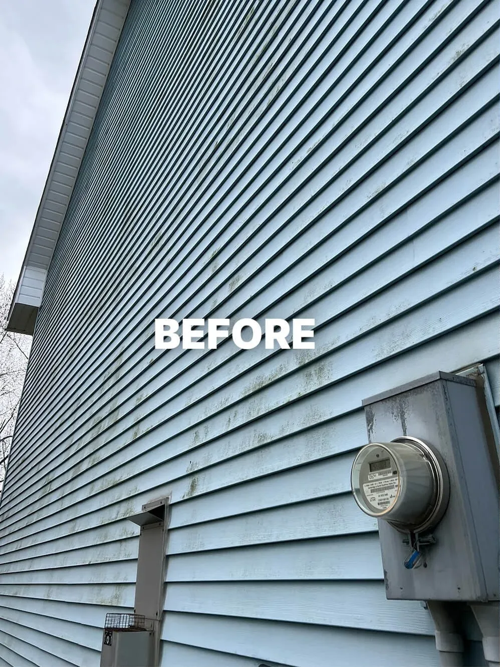 Before exterior house washing