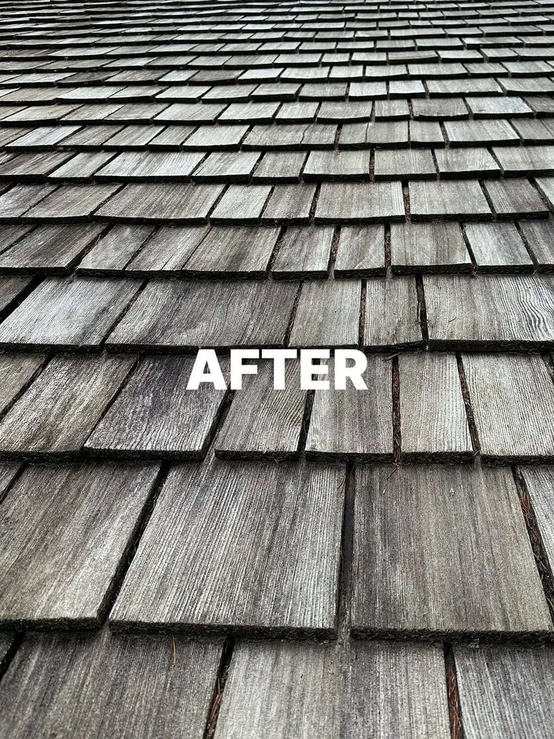 After roof washing