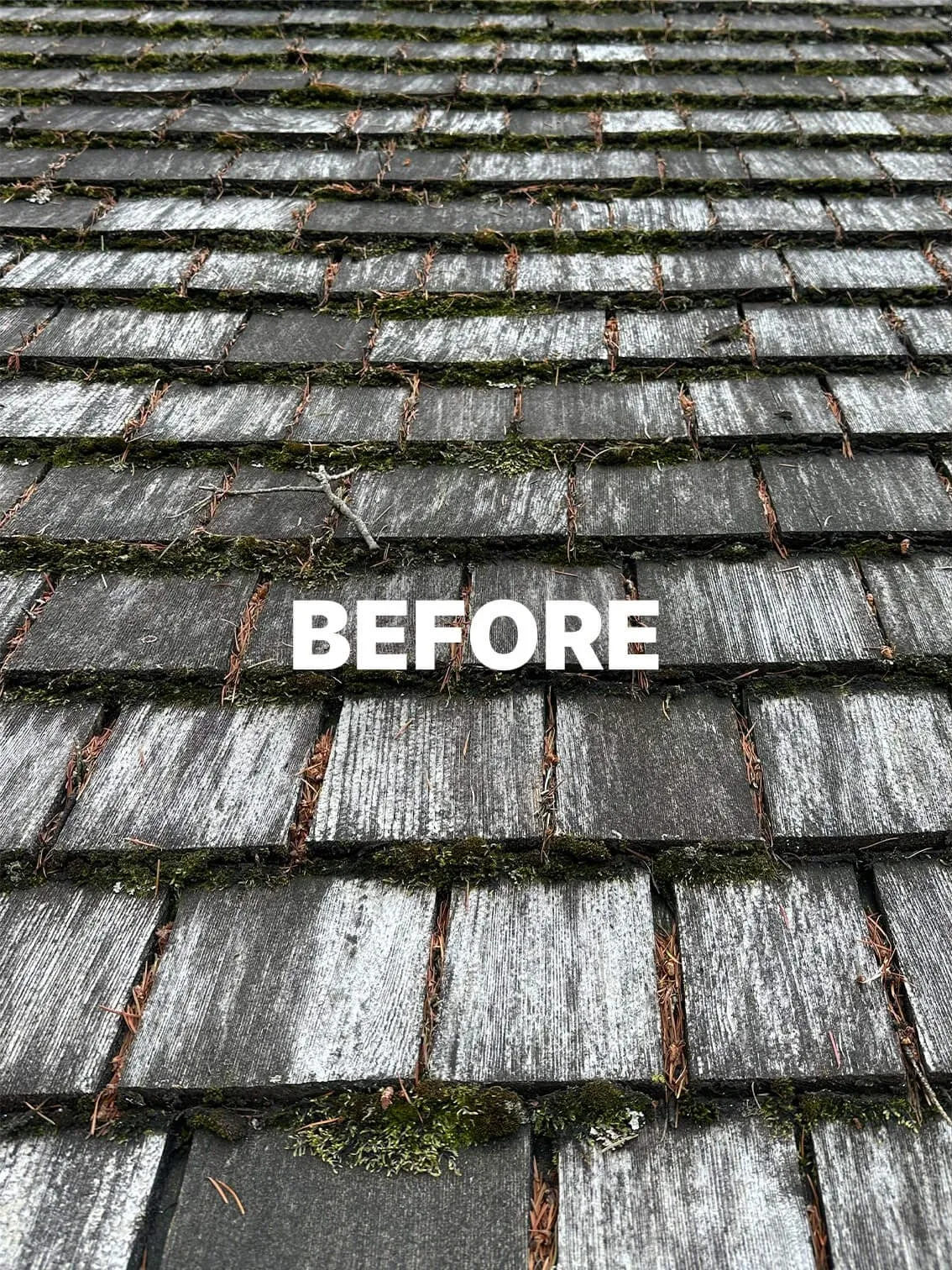 Before roof washing in Kitchener-Waterloo