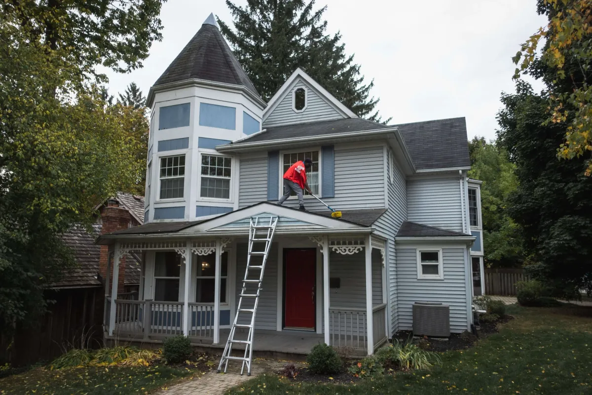Roof Cleaning