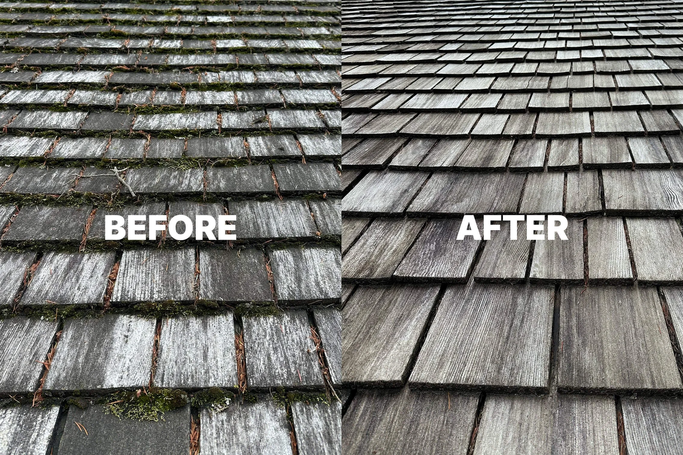 Roof washing transformation before and after